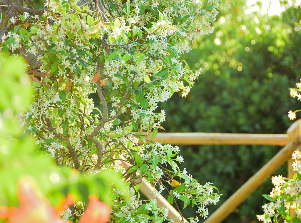 Azienda Agrituristica Il Giuggiolo Principina a Mare Exterior photo